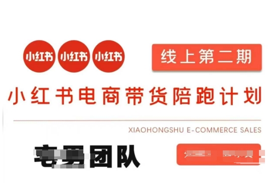 小红书电商带货课2期,月利润20个的小红书电商的有货源,无货源,虚拟产品,付费投流等整套玩法-轻创终点站